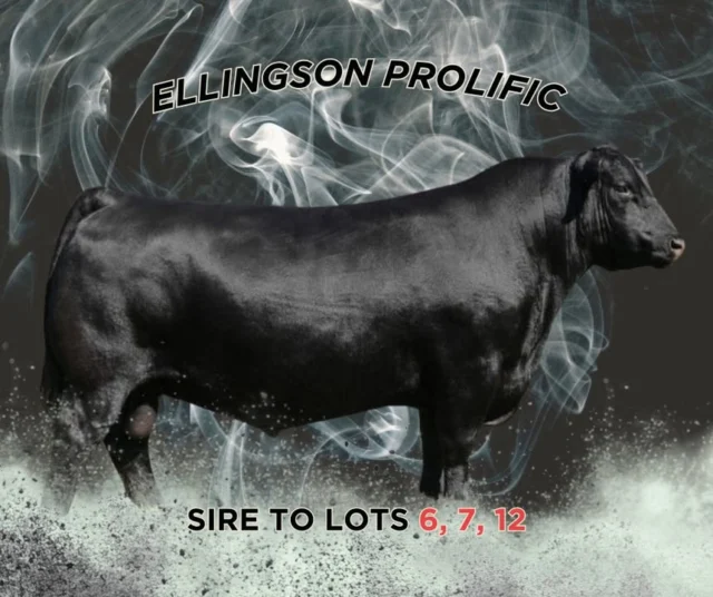 Ellingson Prolific -Lots 6, 7 and 12